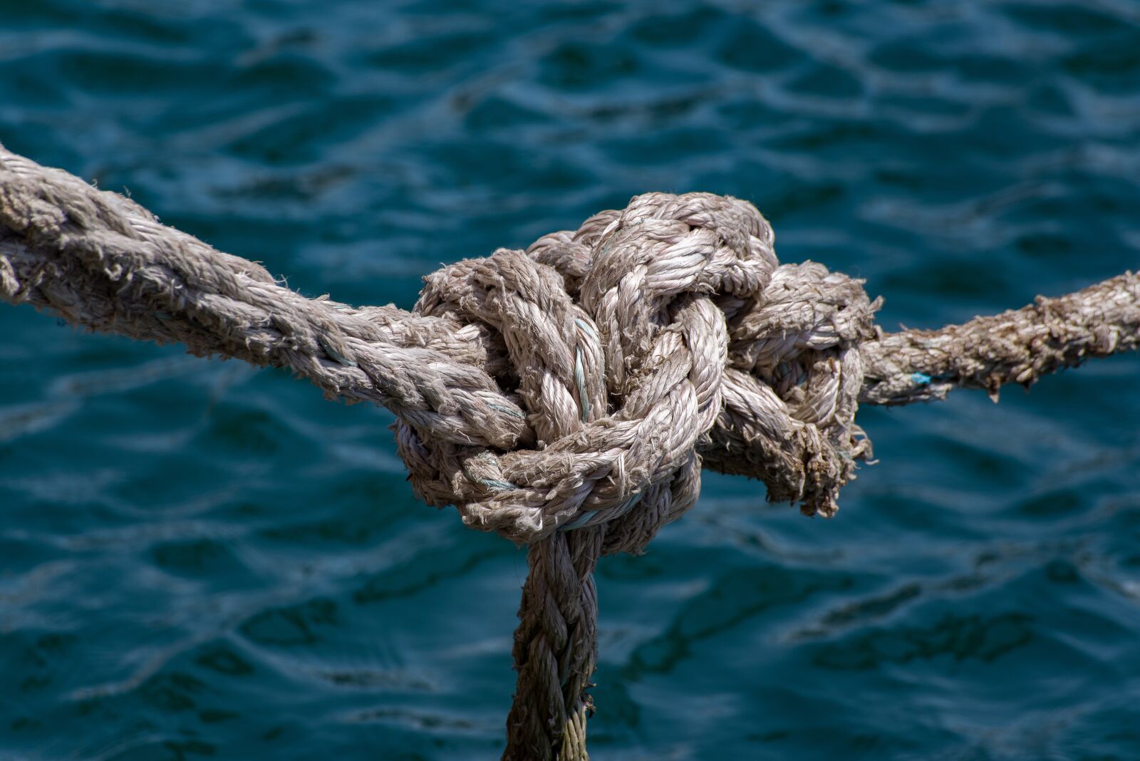 Pentax K-1 Mark II + Sigma sample photo. Rope, mooring, knot photography