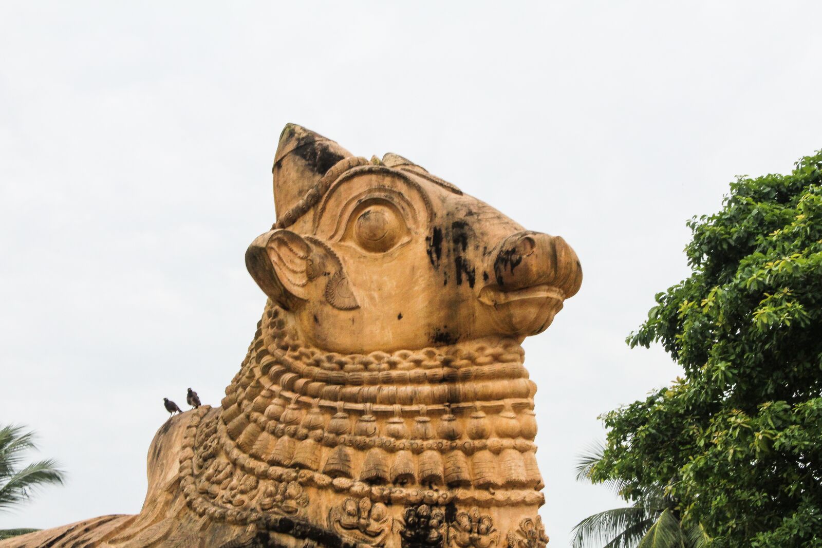 Canon EOS 1300D (EOS Rebel T6 / EOS Kiss X80) sample photo. Temple, indian temple, tamil photography