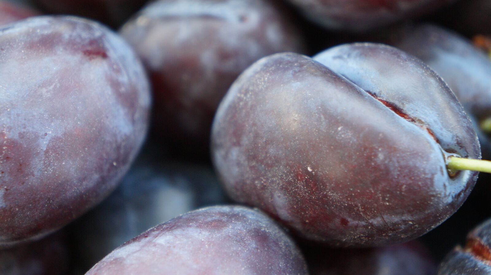 Sony Alpha a3000 sample photo. Plums, fruit, healthy photography