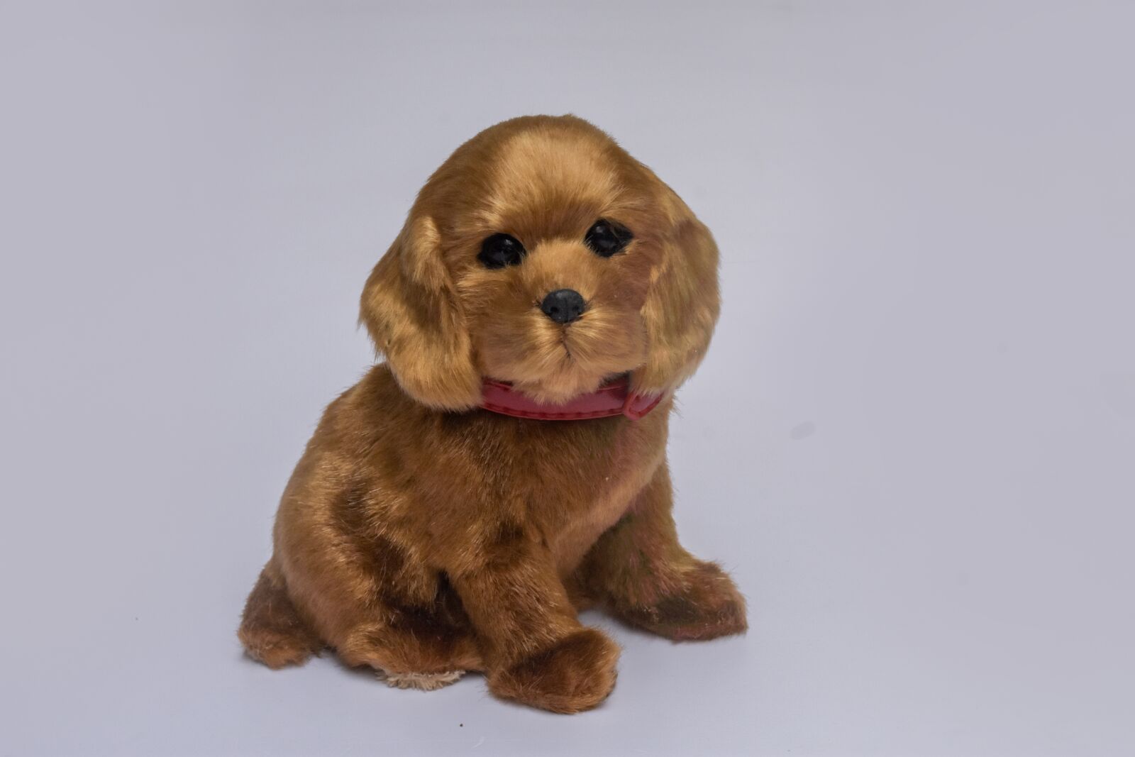 Nikon D3400 sample photo. Puppy, teddy, adorable photography