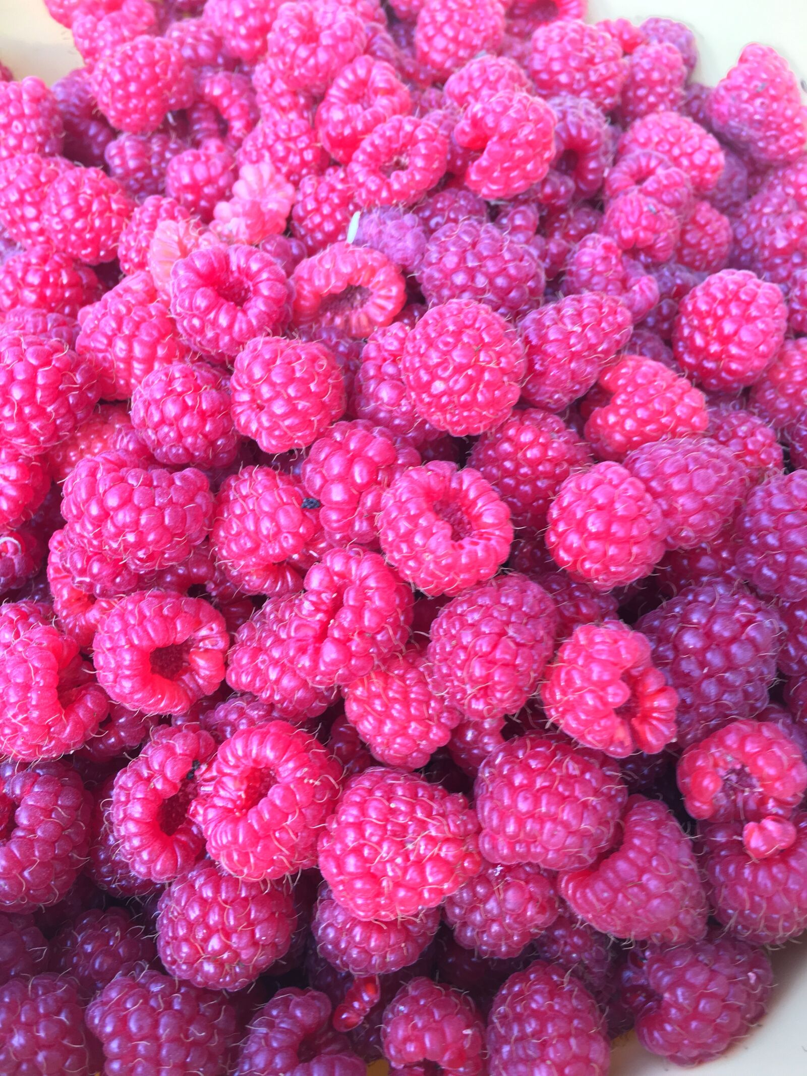 Apple iPhone 6s Plus sample photo. Malina, raspberries, fruit photography
