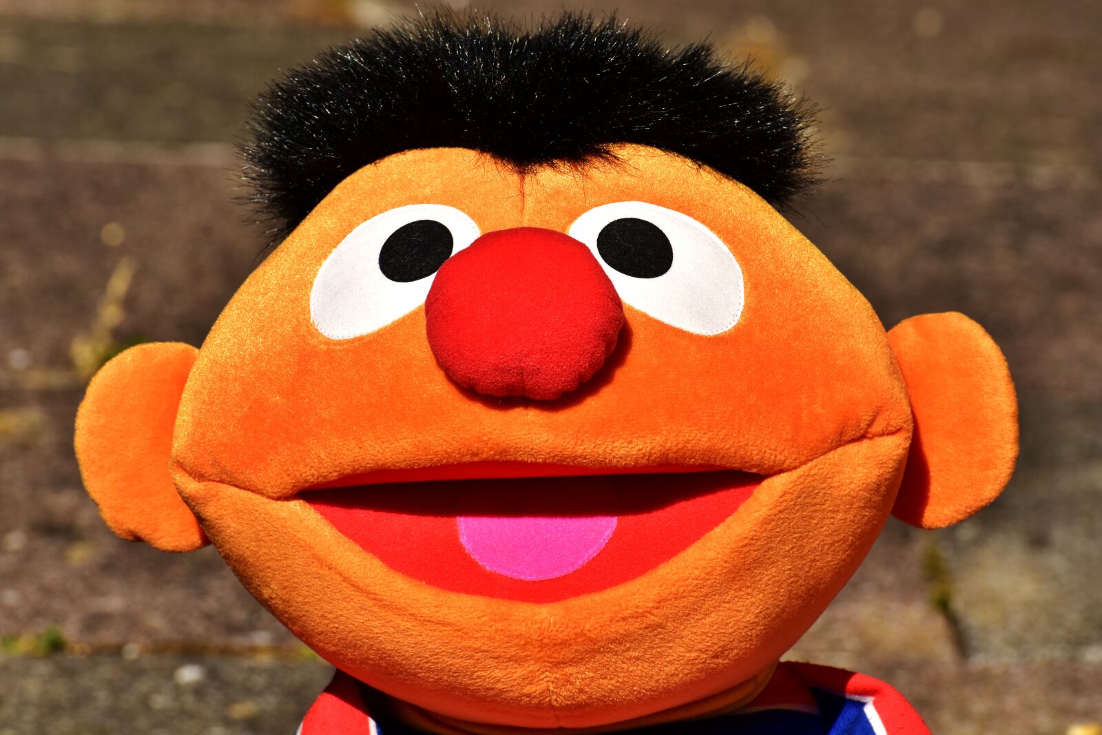 Nikon D7200 sample photo. Ernie, soft toy, figure photography