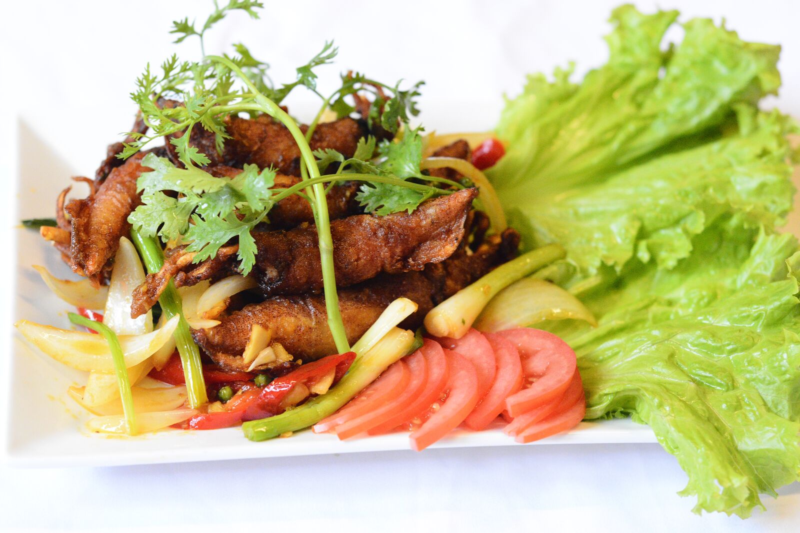 Nikon D7100 sample photo. Ink, squid, fried dishes photography