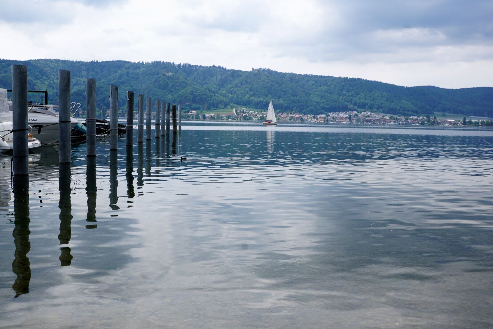 Sony ILCA-77M2 + Sony DT 16-50mm F2.8 SSM sample photo. Ludwigshafen, bodman, lake constance photography