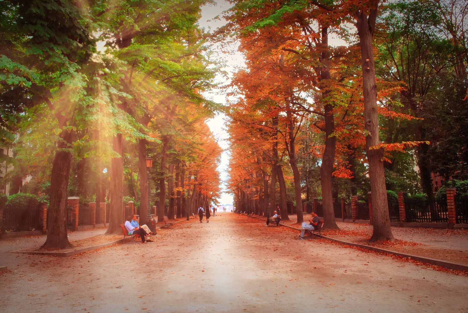 Nikon D3000 sample photo. Venice, park, italy photography