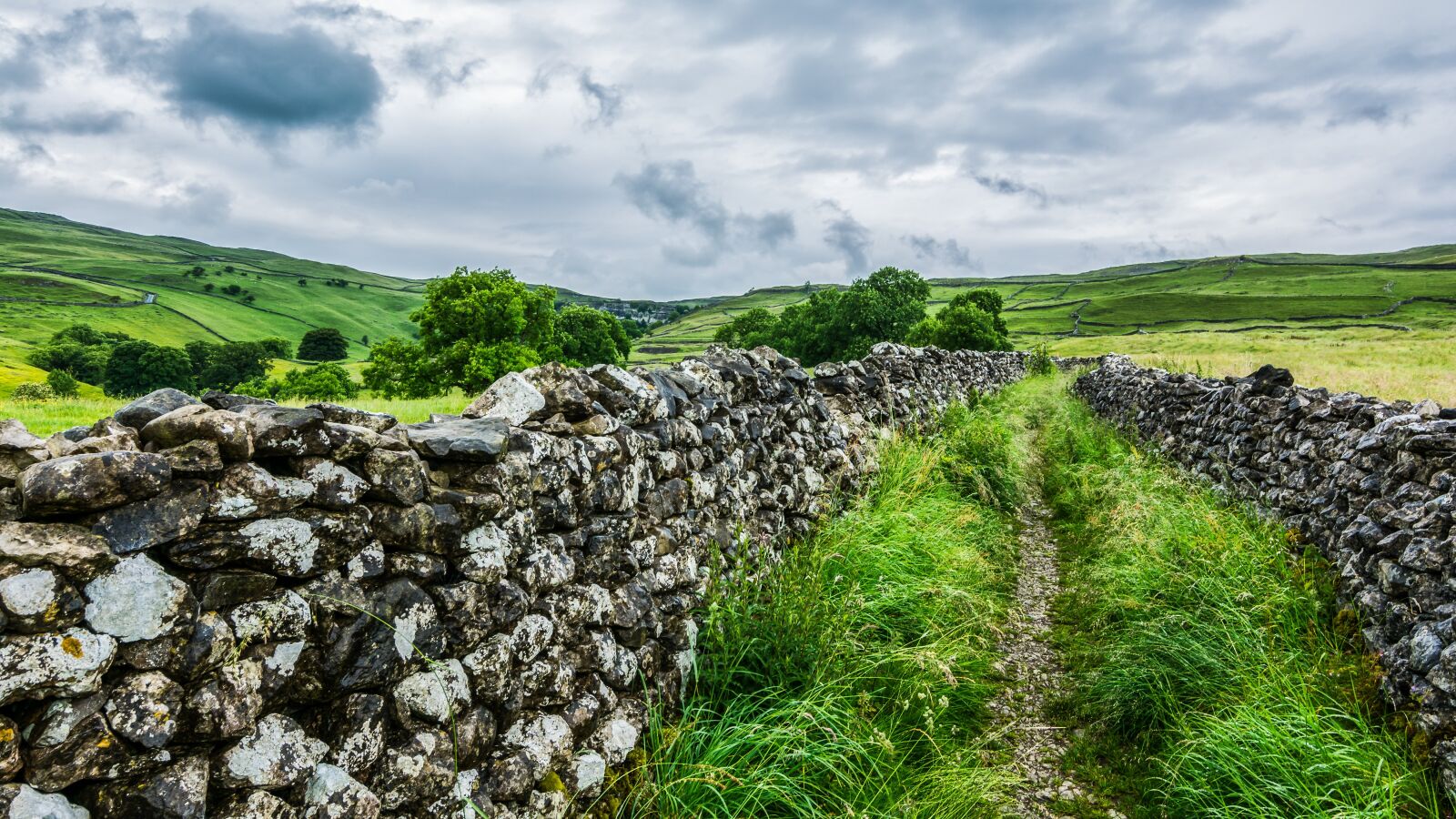 Tokina AT-X Pro 11-16mm F2.8 DX II sample photo. Malham cove, stone wall photography