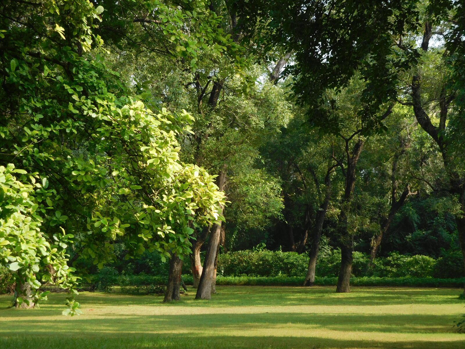 Nikon Coolpix S7000 sample photo. Park, nature, green photography