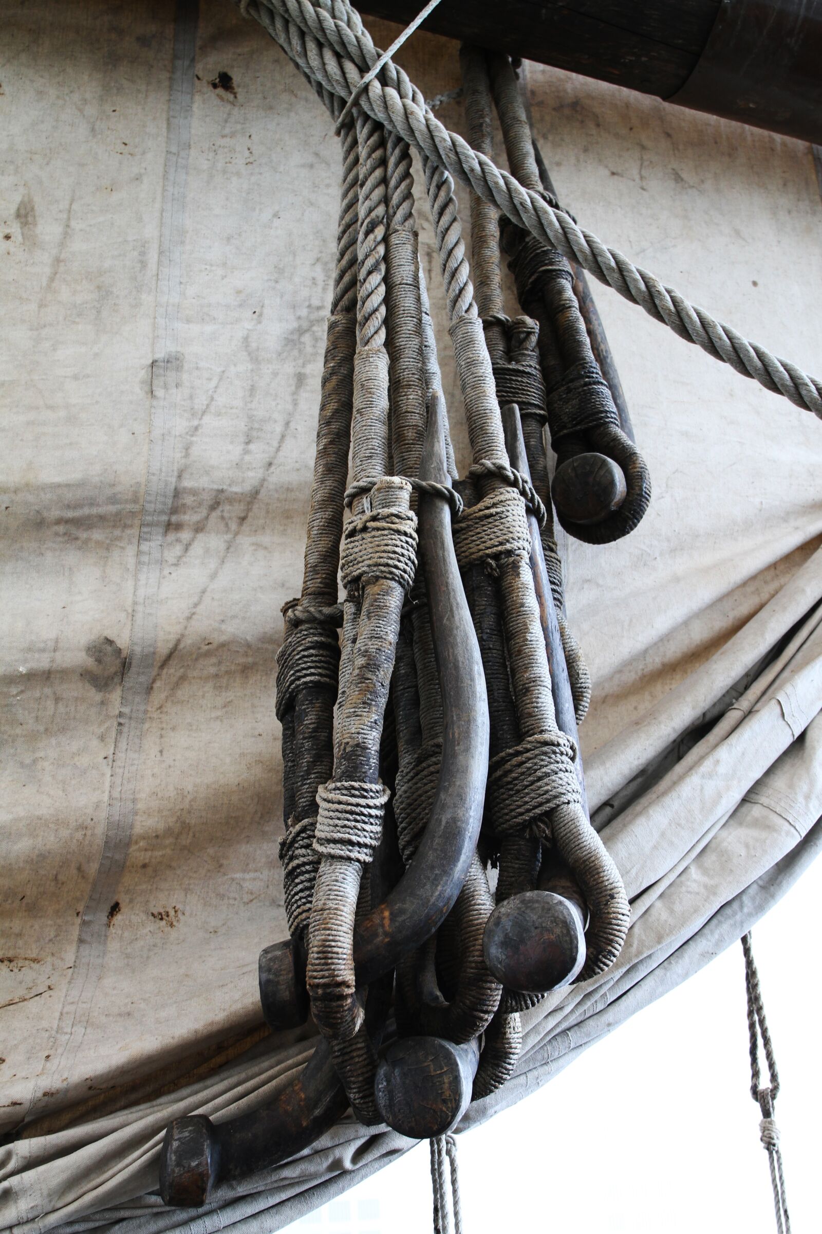 Canon EOS 7D + Canon EF 24-70mm F4L IS USM sample photo. Sail, ropes, knot photography