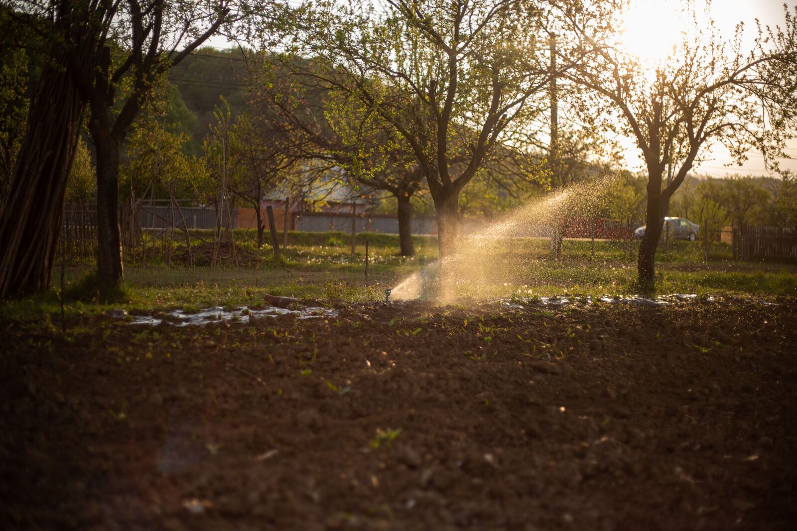Canon EF 50mm F1.8 II sample photo. Water, garden, nature photography