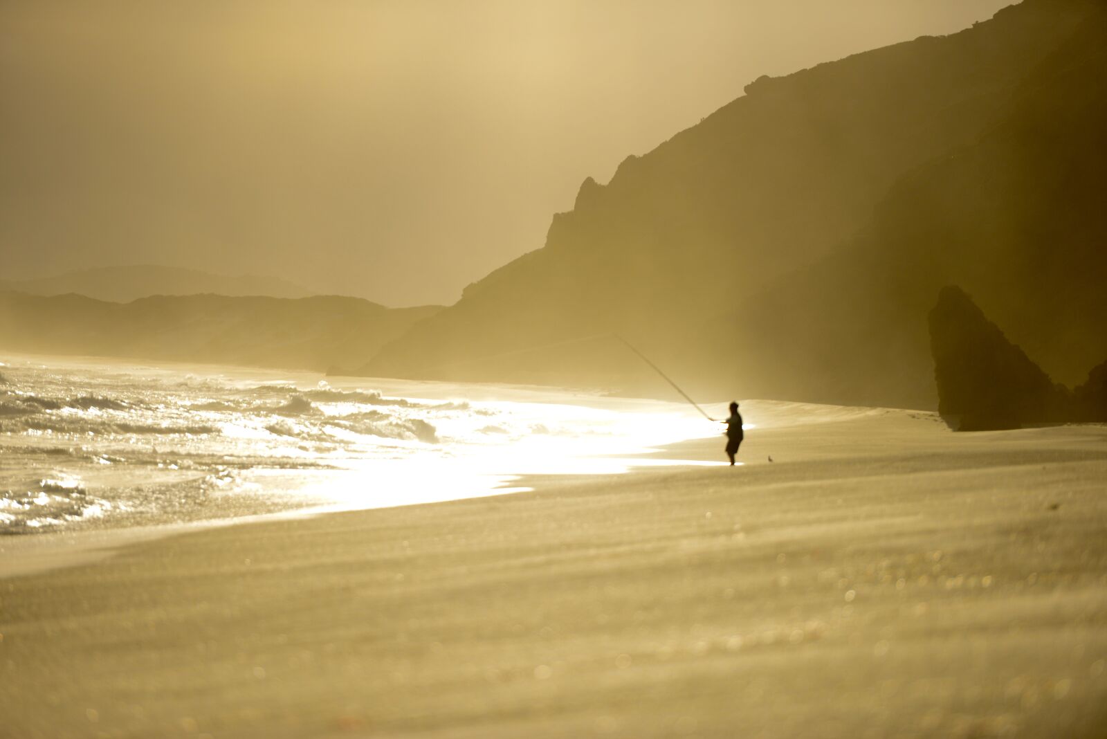Nikon D800 sample photo. Fishing, sunset, beach photography