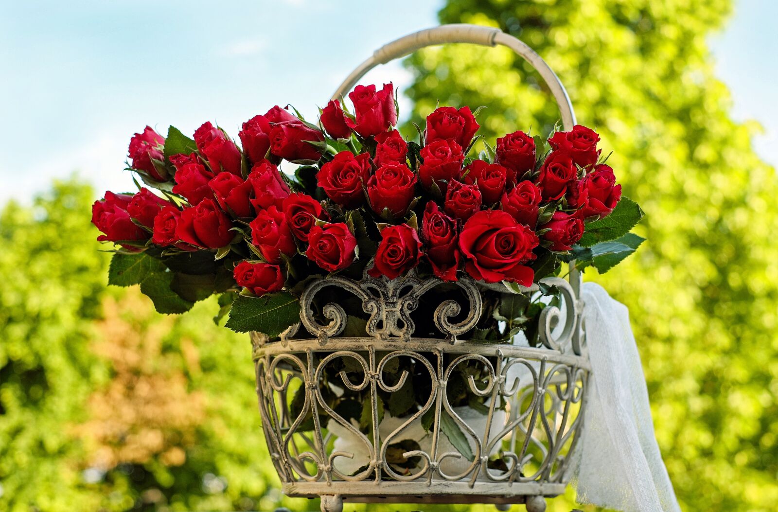 Fujifilm X-T10 + Fujifilm XF 35mm F1.4 R sample photo. Roses, bouquet of roses photography