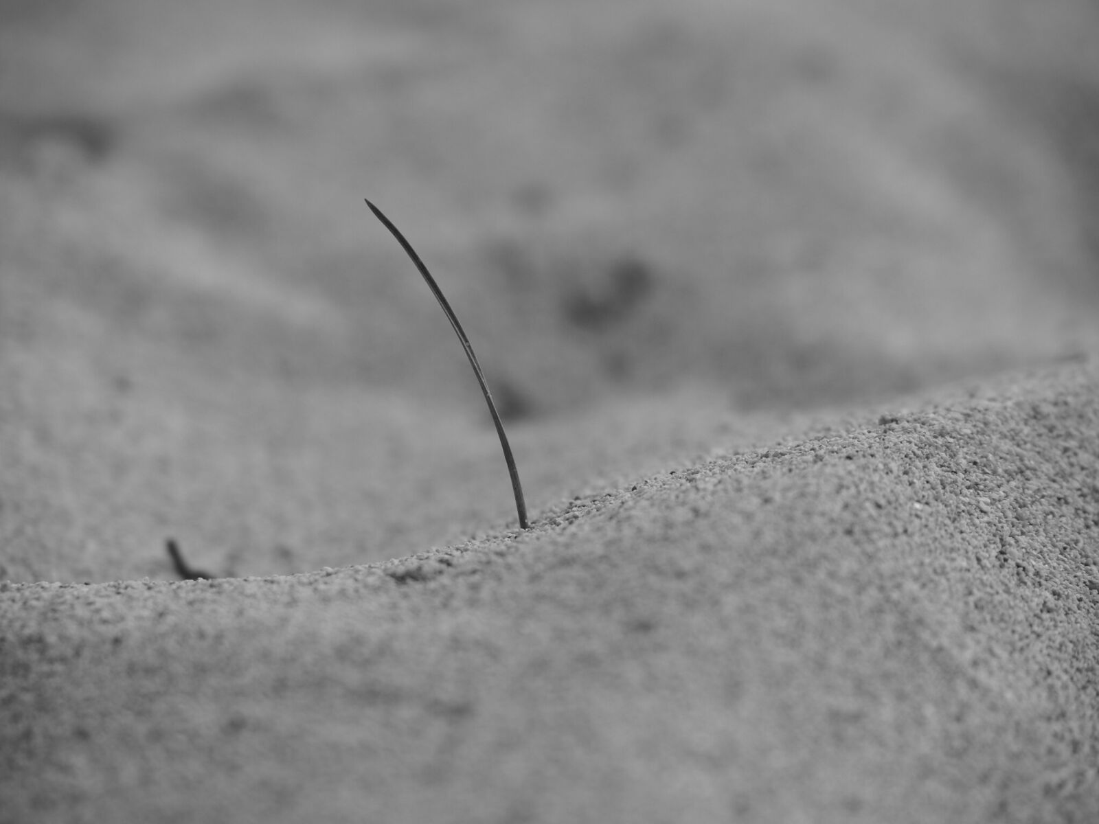 Olympus OM-D E-M5 II sample photo. Sand, sea, beach photography