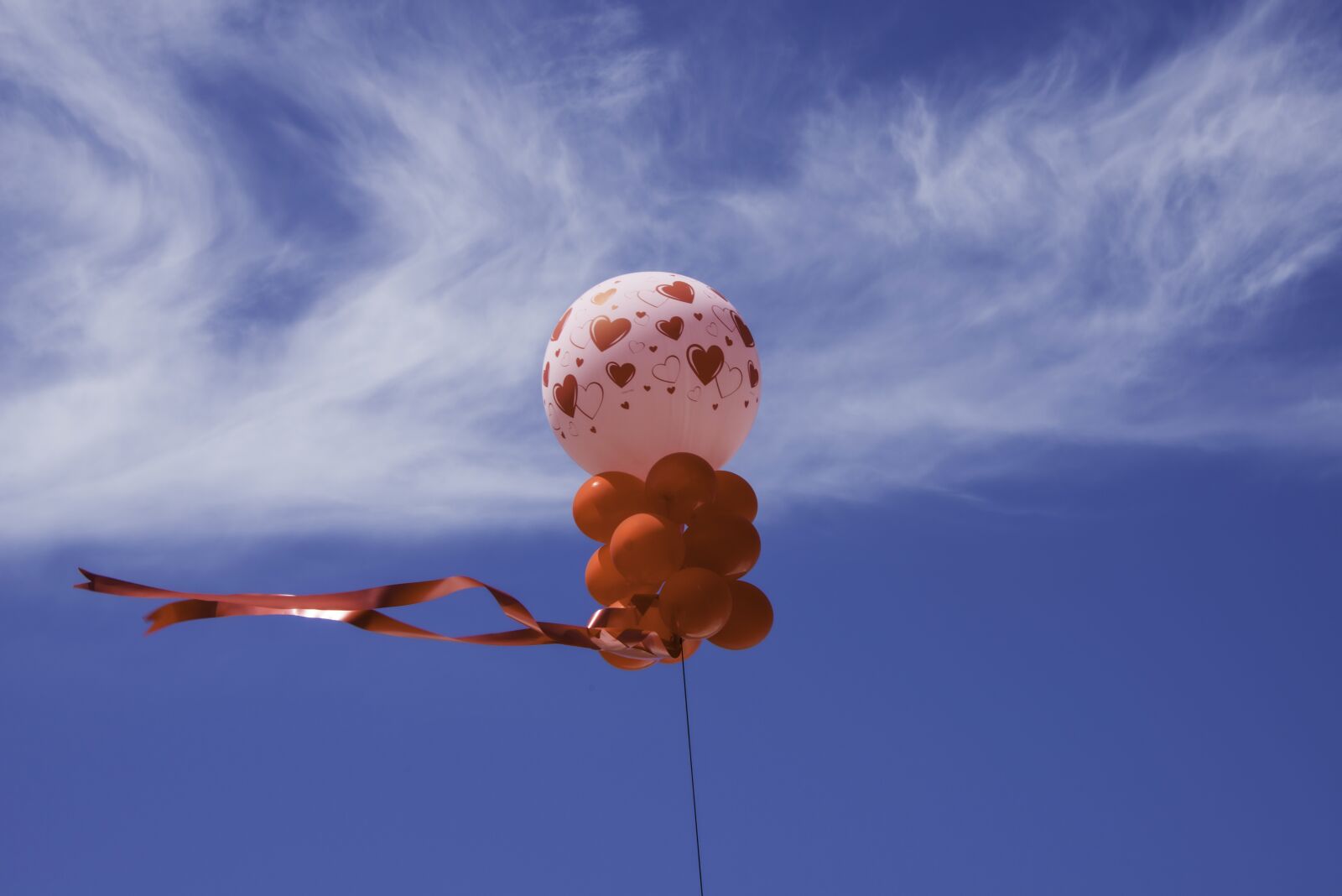 Nikon D800 sample photo. Love, balloon, sky photography