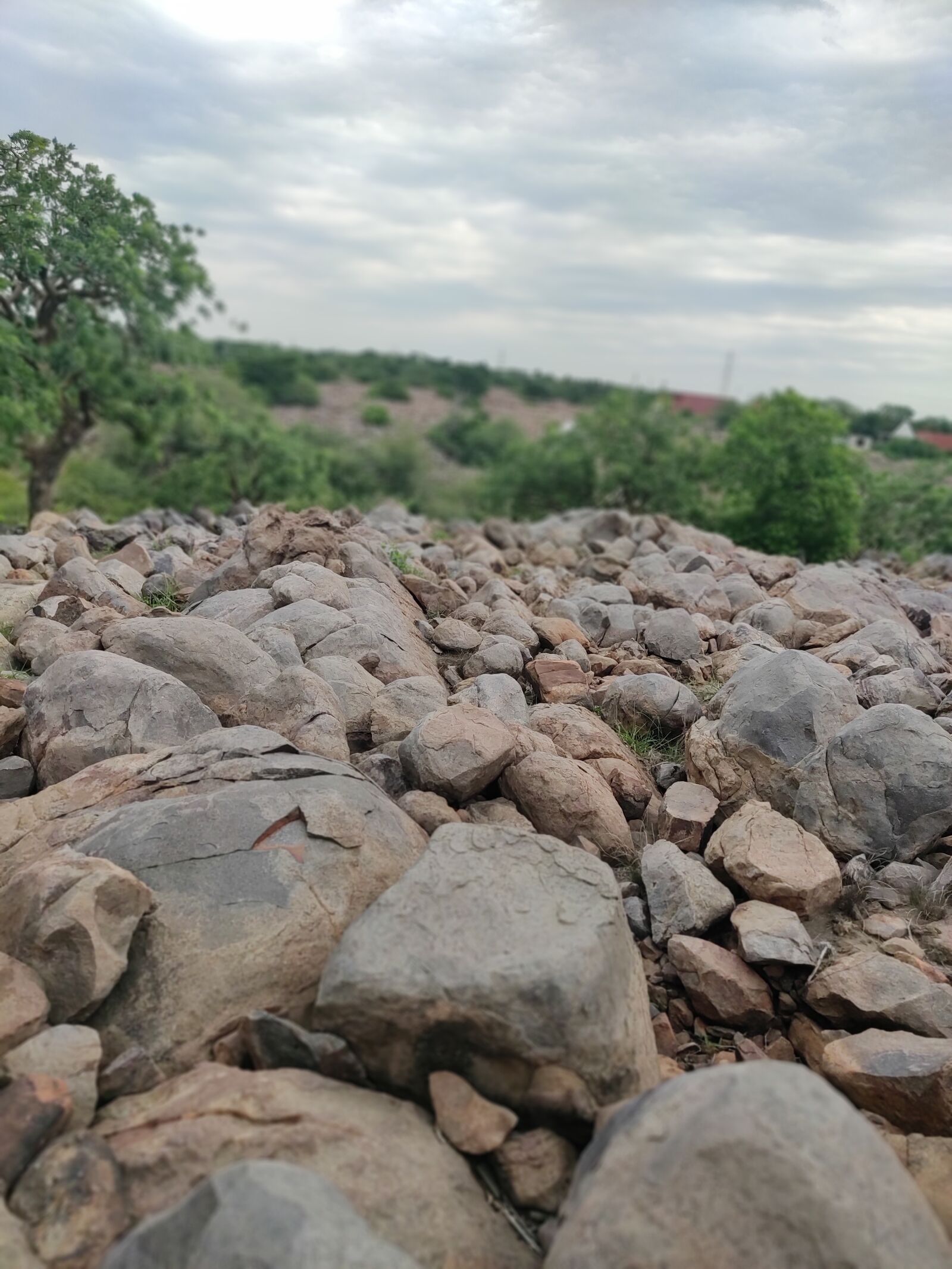 Xiaomi Redmi Note 7 Pro sample photo. Hills, high altitude, india photography