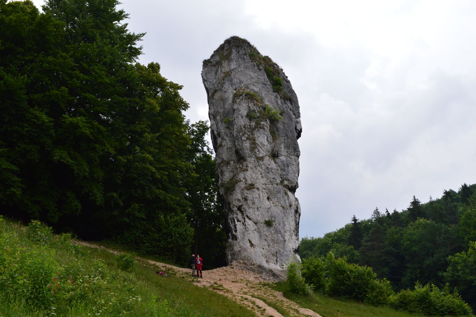 Nikon D3200 sample photo. Pieskowa ska a castle photography