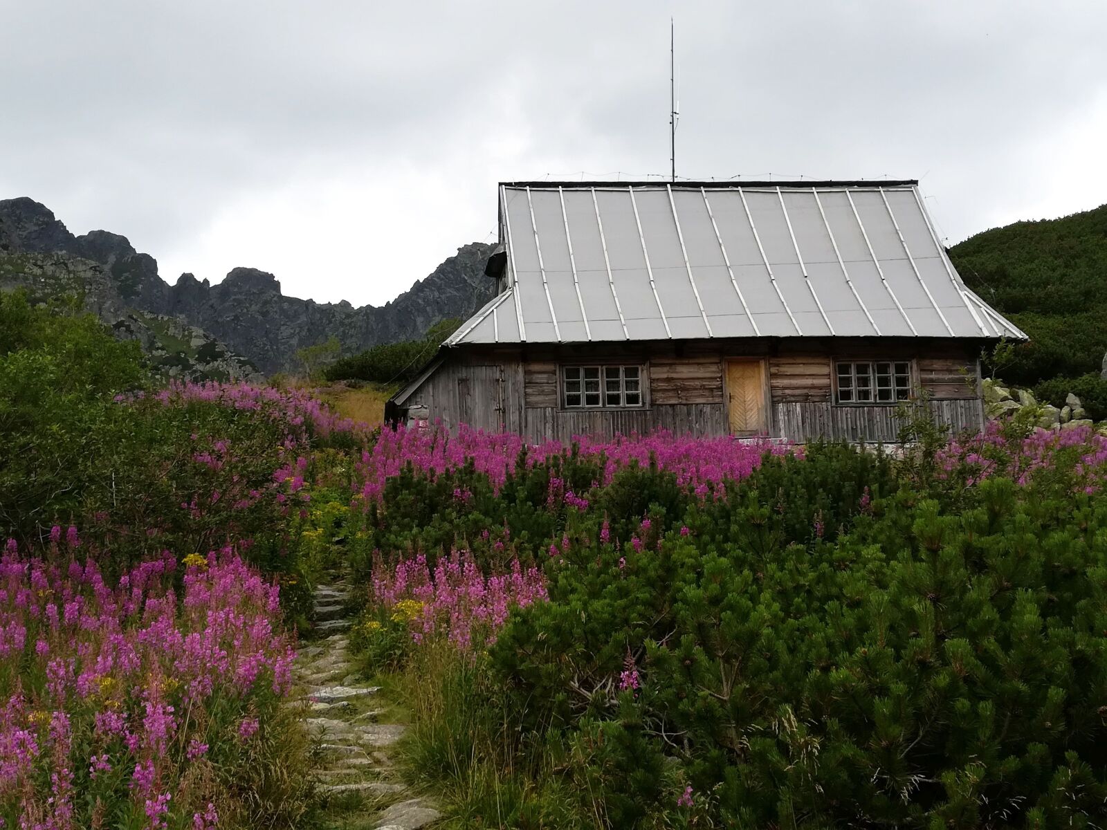 HUAWEI P10 lite sample photo. Tatry, mountains, tourism photography