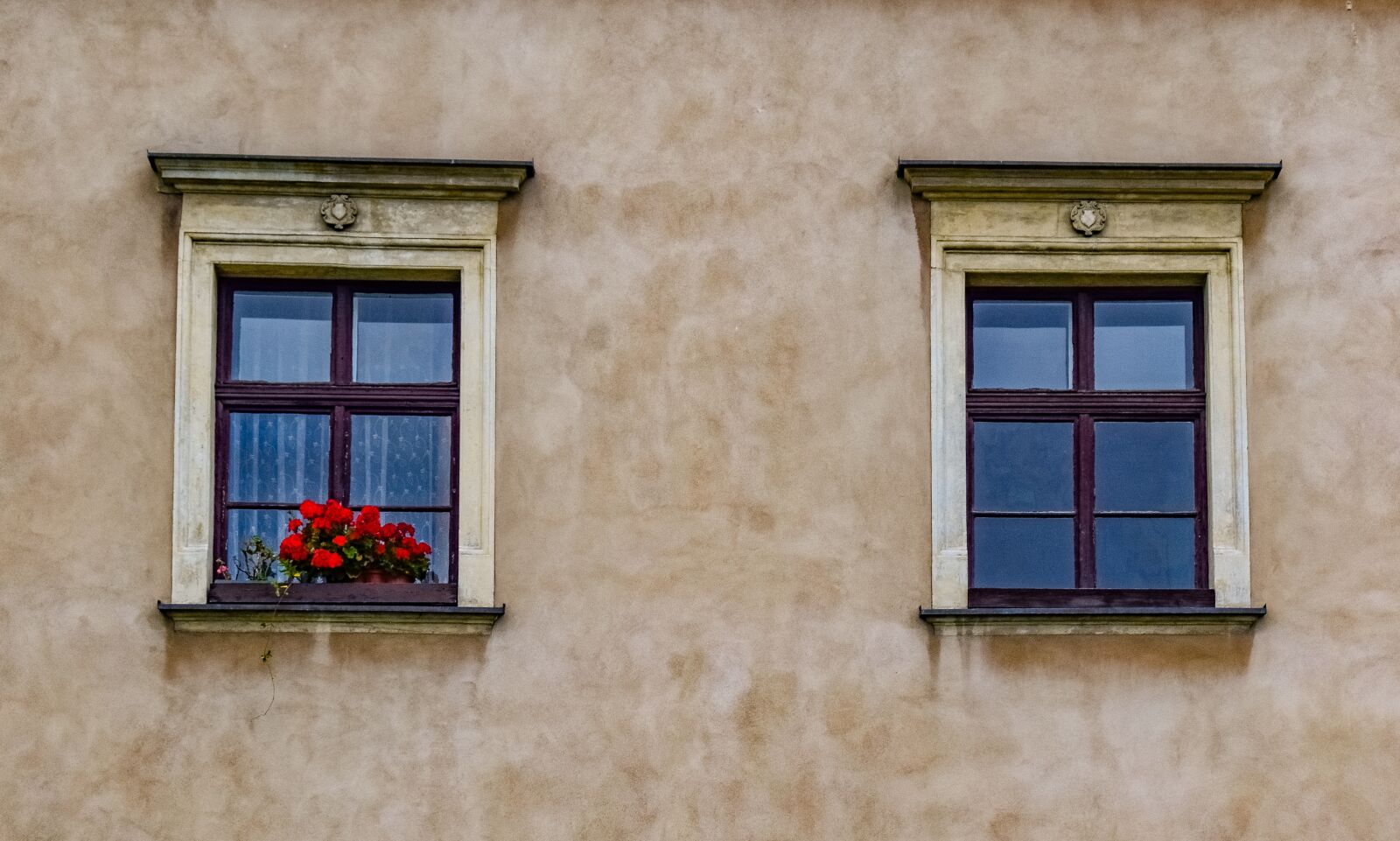 Nikon D3300 sample photo. Windows, wall, architecture photography