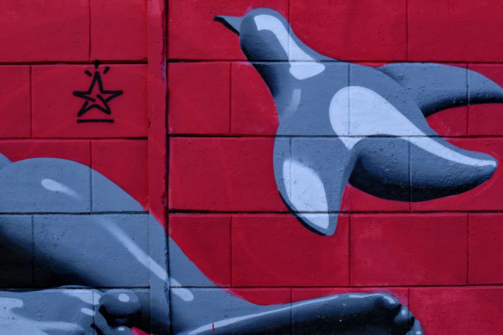 Nikon D5500 sample photo. Artist, graffiti, grey, wall photography