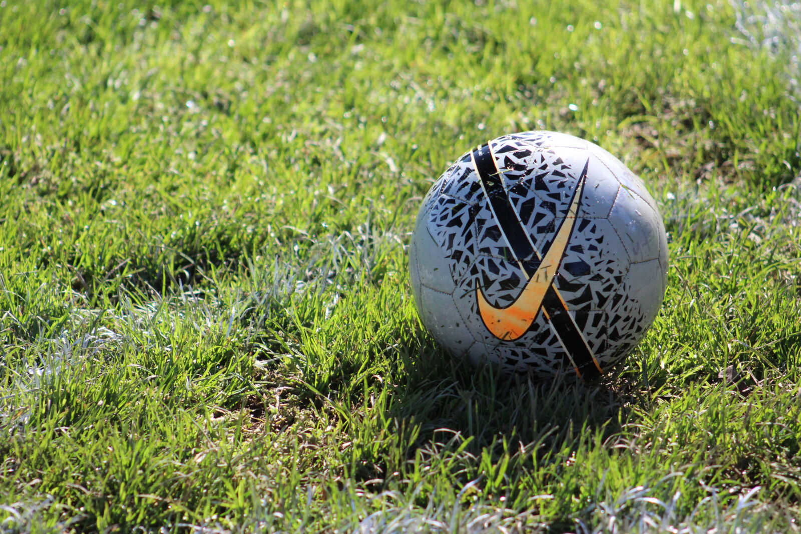 Canon EF 75-300mm f/4-5.6 sample photo. Field, soccerball photography
