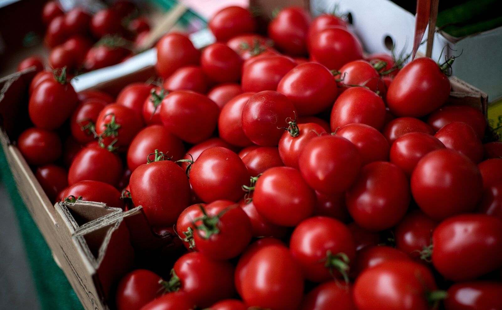 50mm F1.8 II sample photo. Tomatoes, vegetables, cherry tomato photography