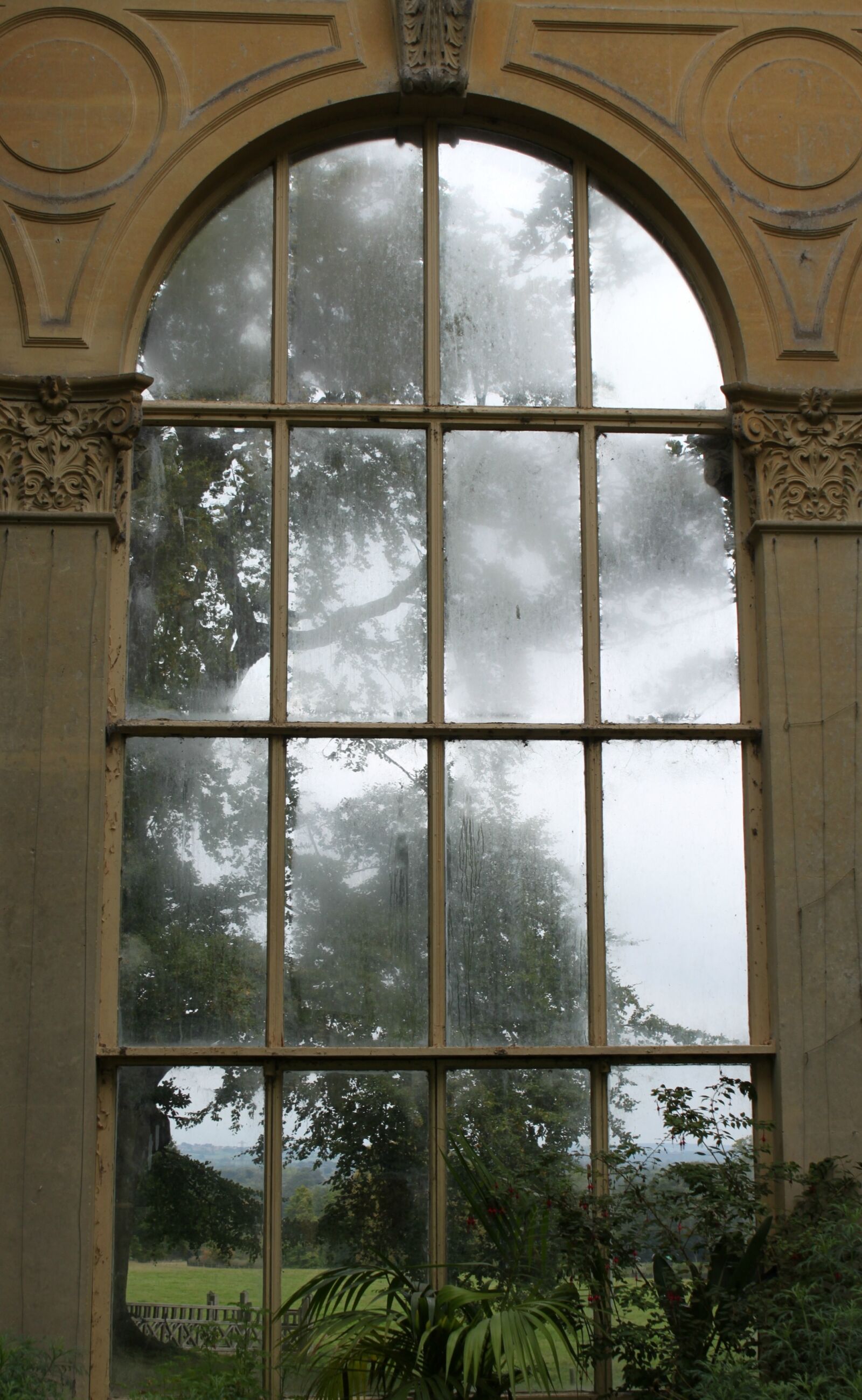 Canon EOS 500D (EOS Rebel T1i / EOS Kiss X3) sample photo. Window, pane, cold photography