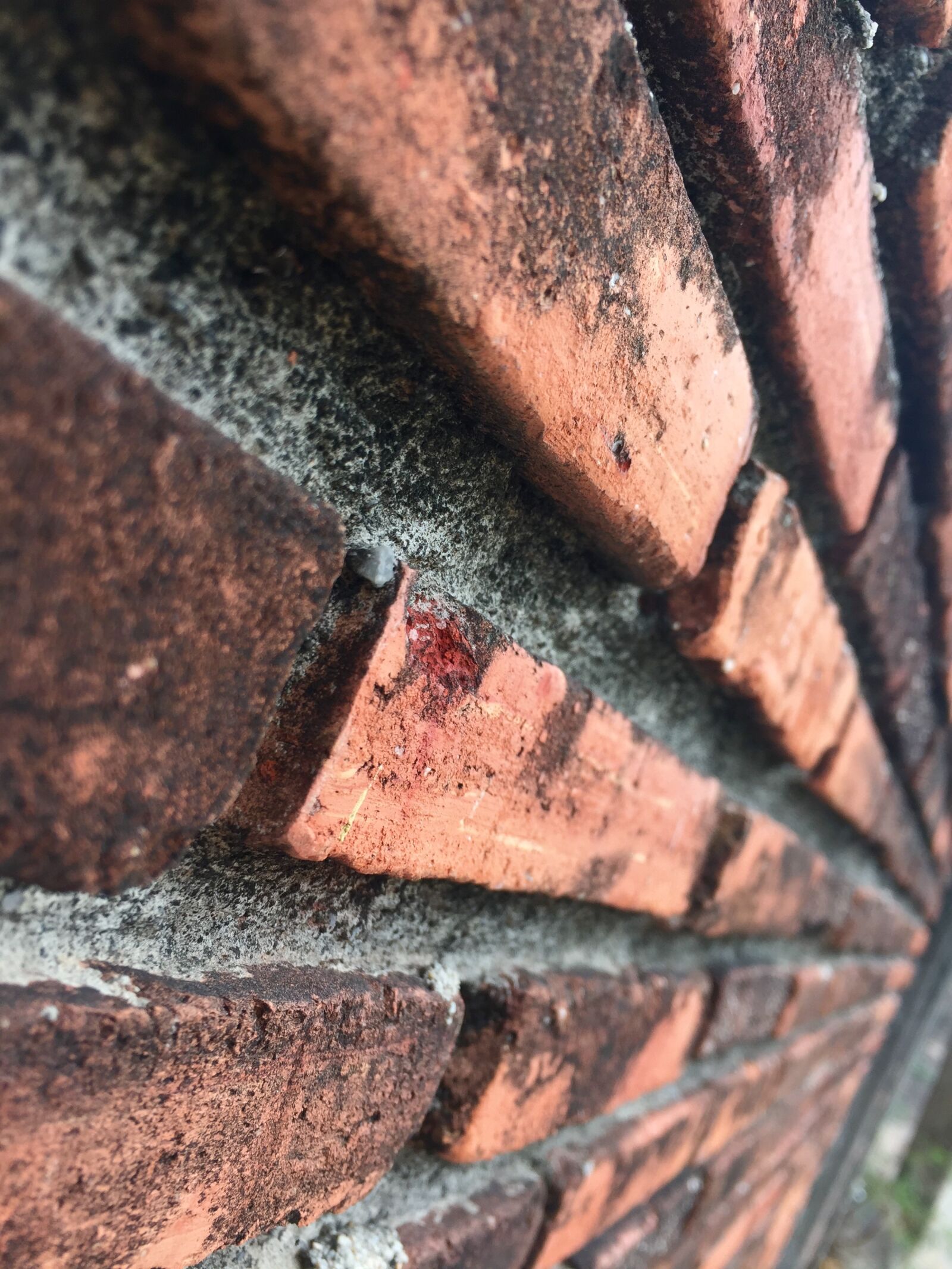 iPhone 6 back camera 4.15mm f/2.2 sample photo. Wall, brick, macro photography