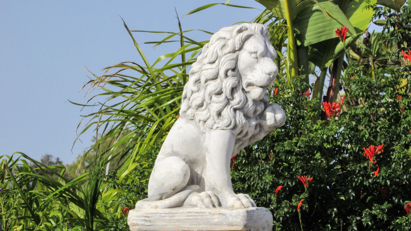 Canon PowerShot SX400 IS sample photo. Lion, guardian, house photography