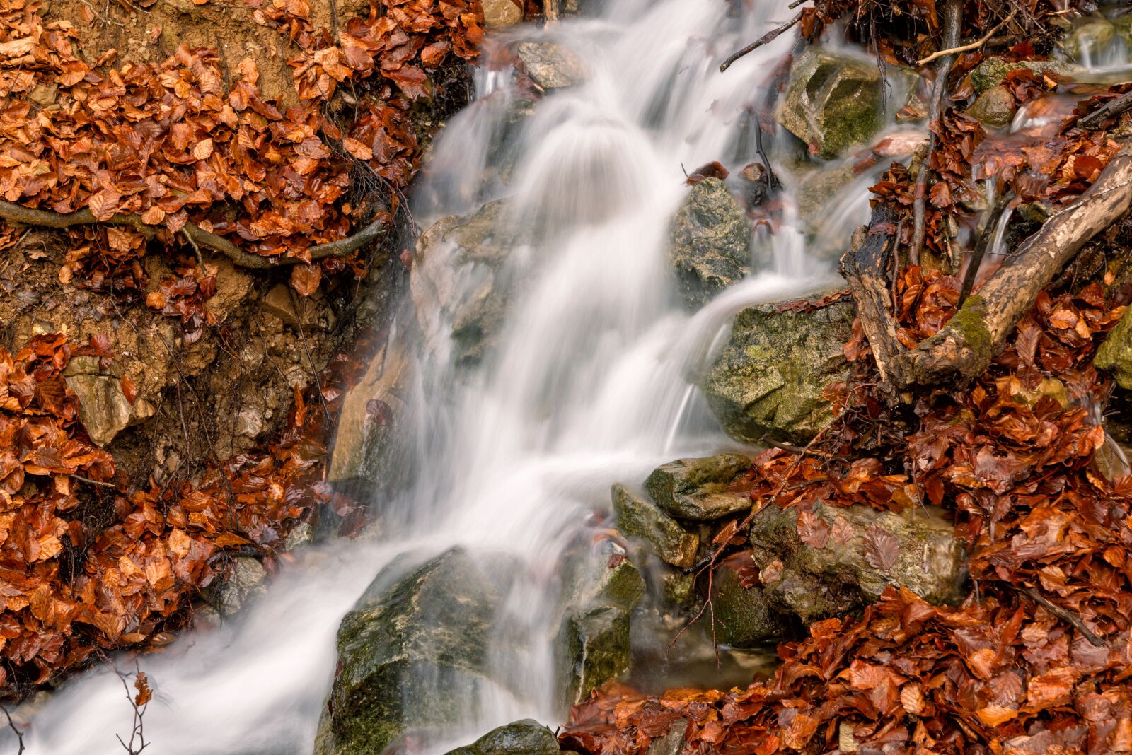 Nikon D610 sample photo. Water, stream, red photography