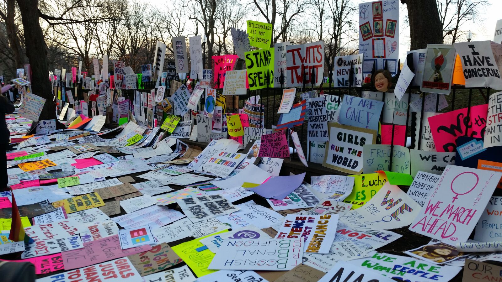 Samsung Galaxy S5 sample photo. Protest, signs, women's march photography