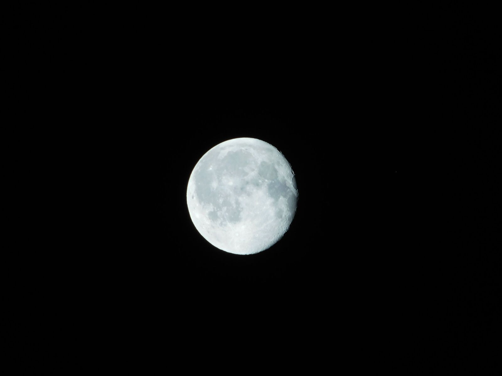 Nikon Coolpix L840 sample photo