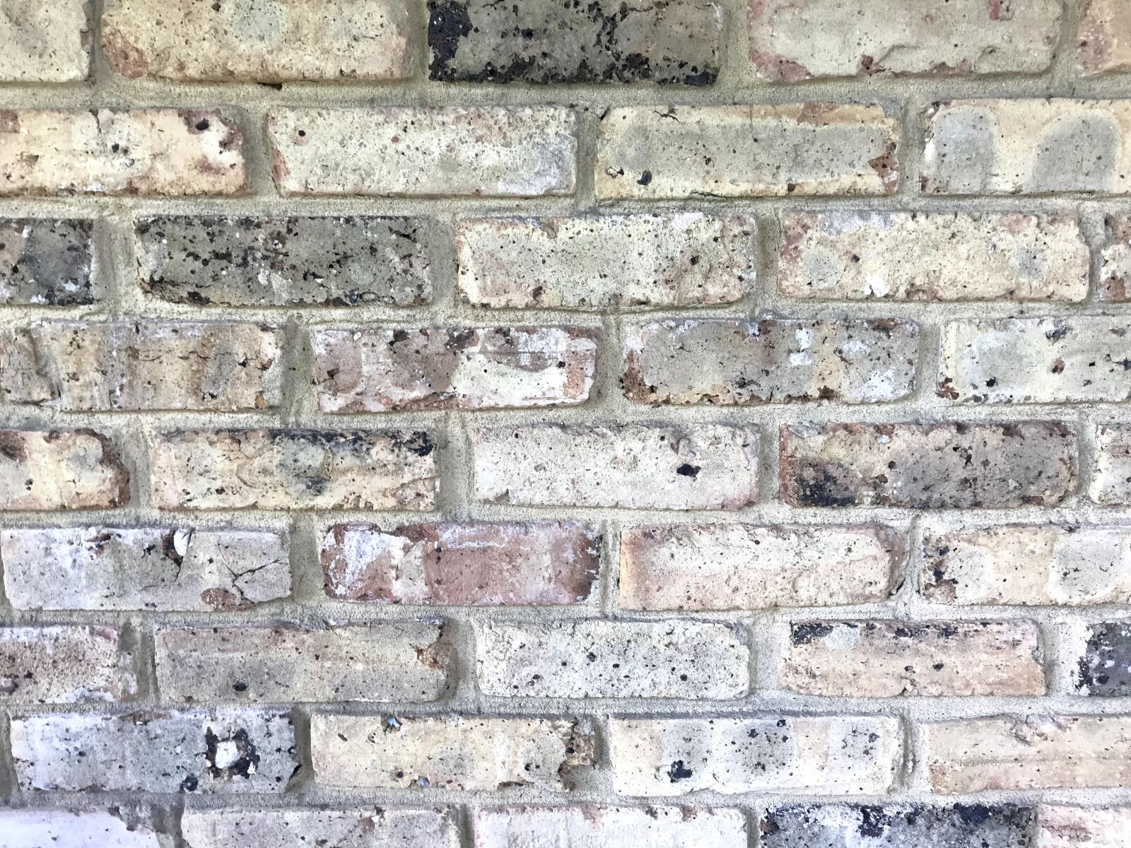 iPhone 7 Plus back dual camera 3.99mm f/1.8 sample photo. Brick, textured, brickwall photography