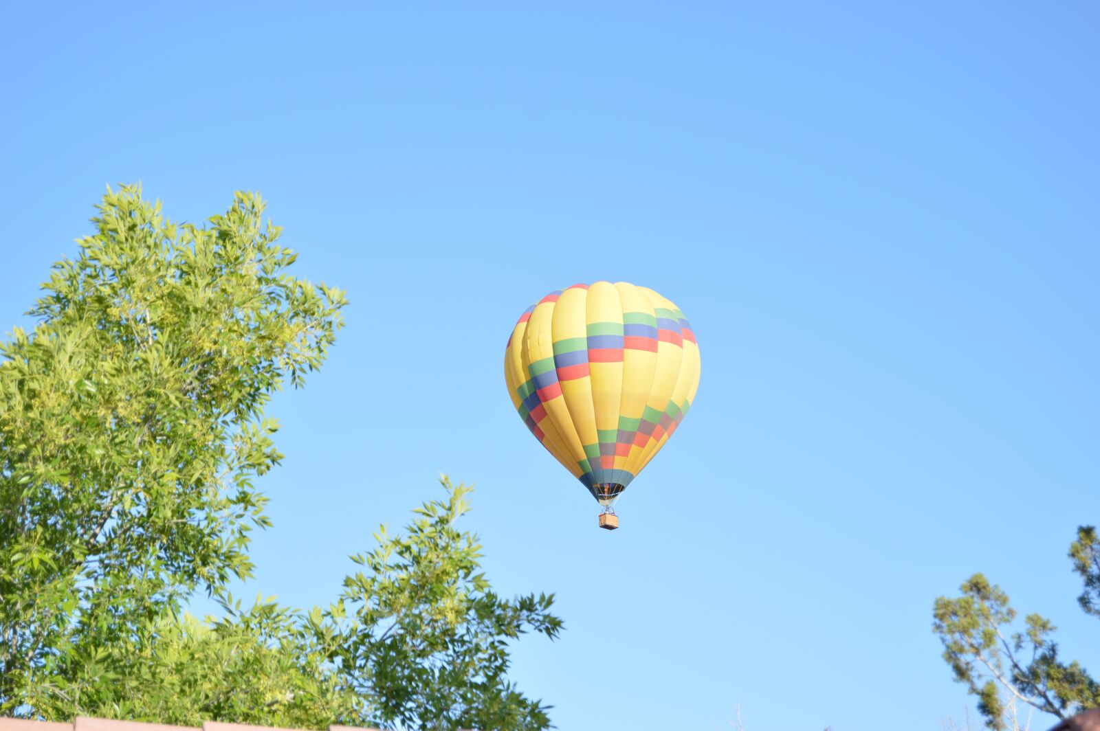 Nikon D3200 sample photo. Balloon, sky, trees photography