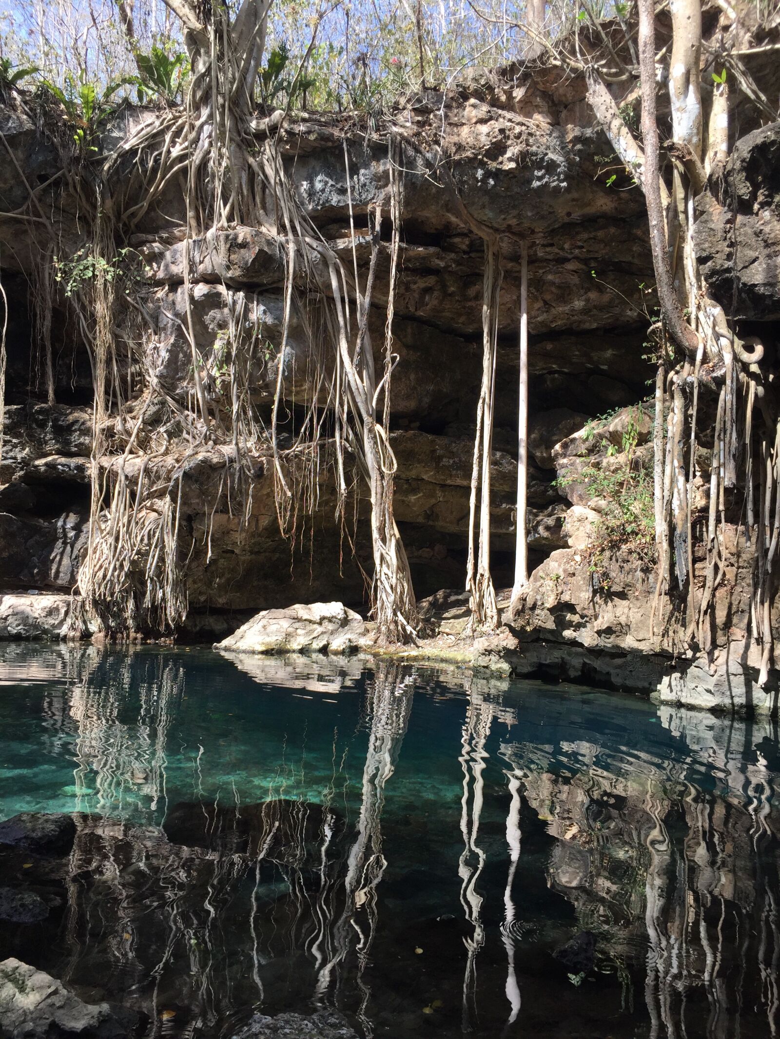 iPhone 6 back camera 4.15mm f/2.2 sample photo. Cenote, cave, nature photography
