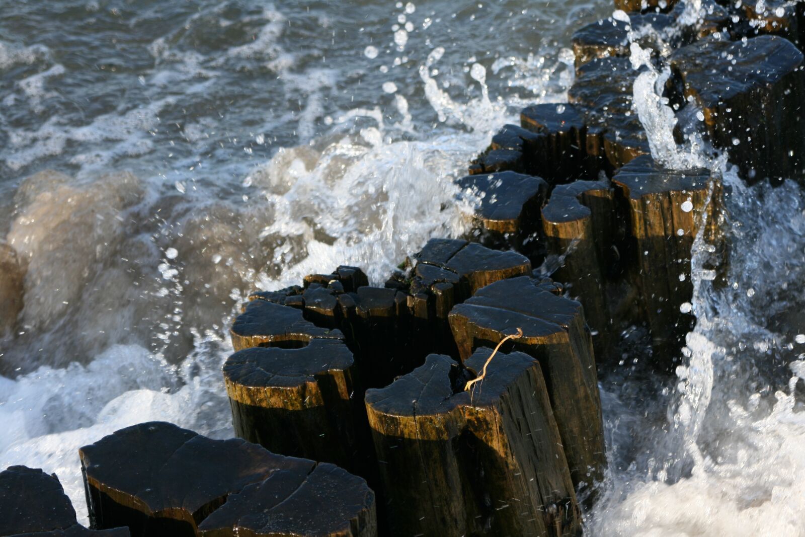Canon EOS 400D (EOS Digital Rebel XTi / EOS Kiss Digital X) sample photo. Baltic sea, wood, spray photography