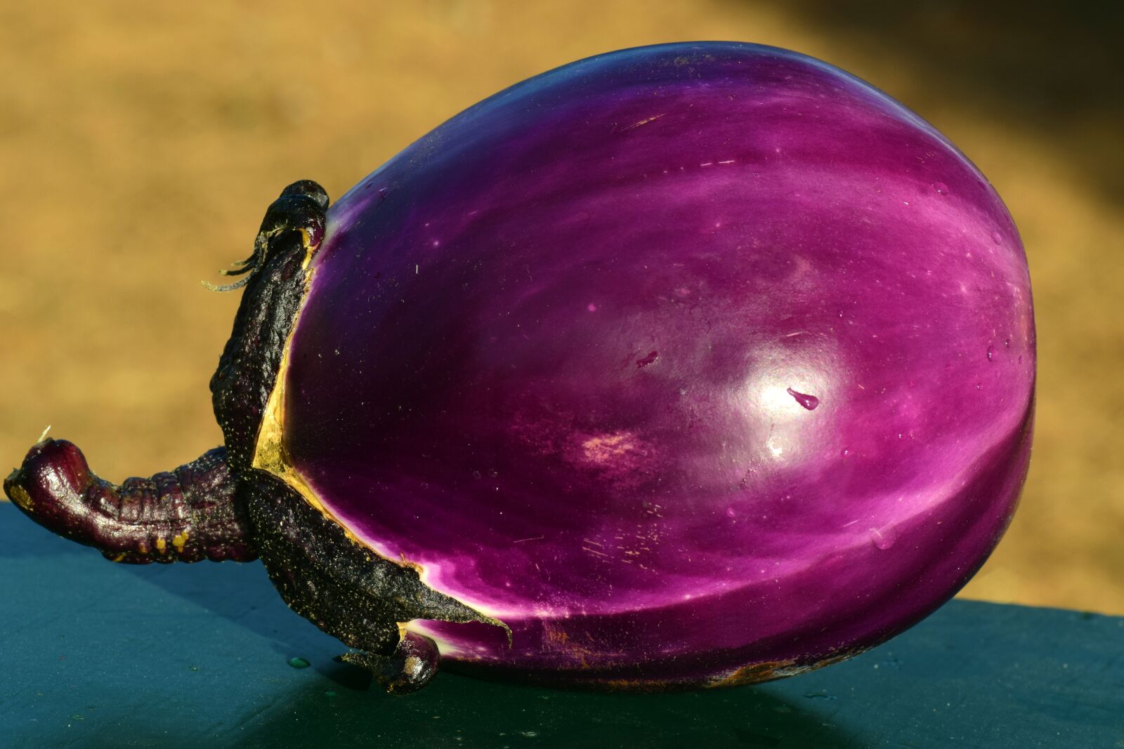 Nikon D3300 sample photo. Eggplant, food, eat photography