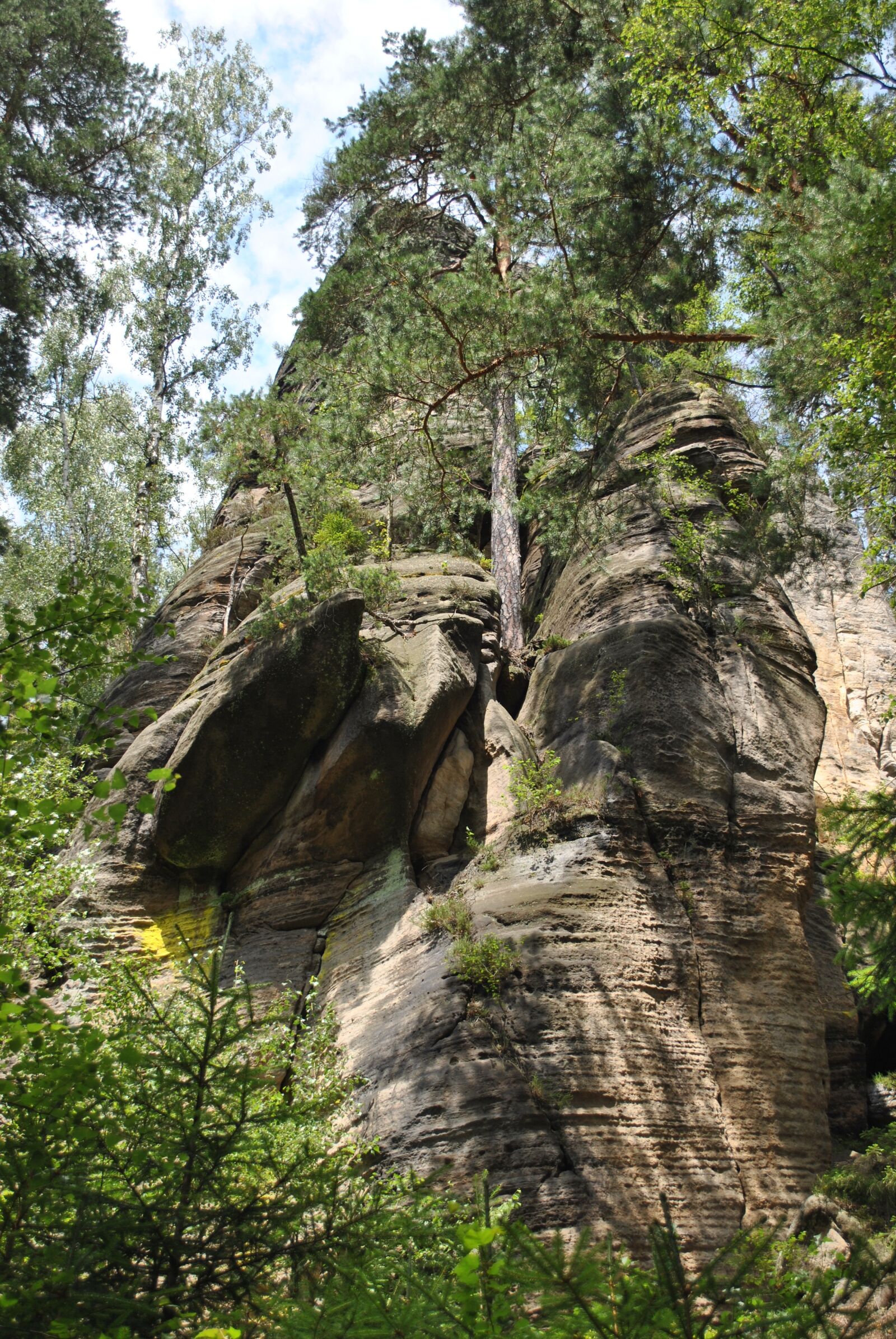 Nikon D3000 sample photo. Mountains, forest, landscape photography