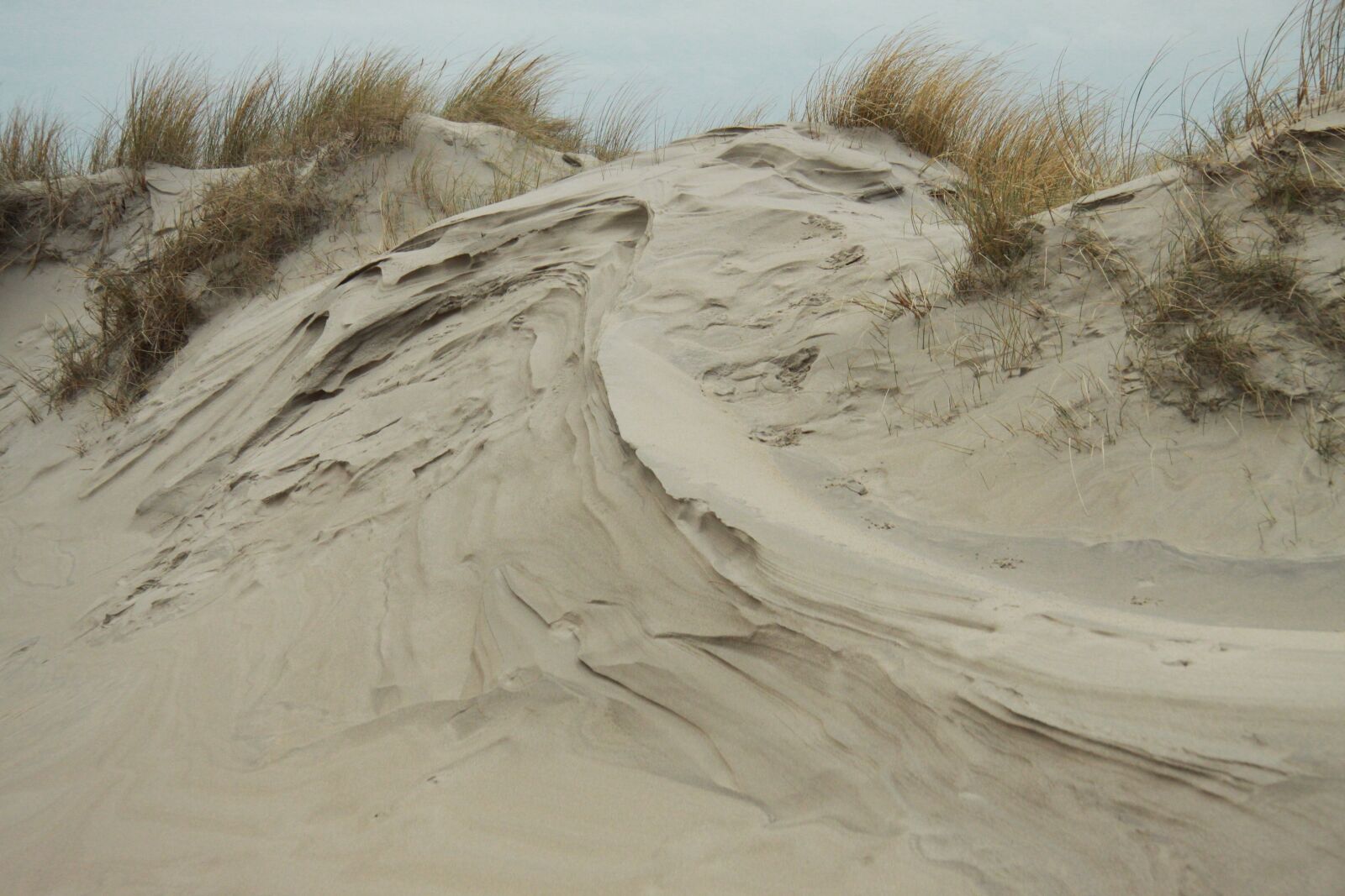 Canon EOS 50D sample photo. Dune, sand, sea photography