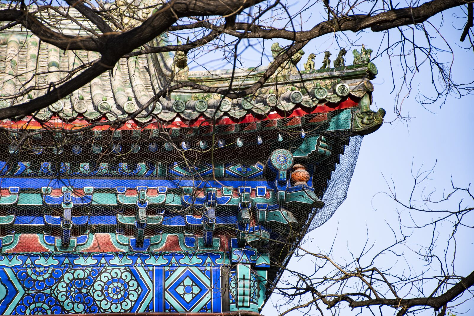 Nikon D7500 sample photo. Building, decoration, housing photography