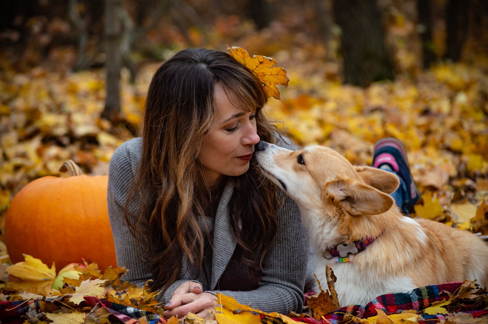 Nikon D3200 sample photo. Welsh corgi pembroke, corgi photography