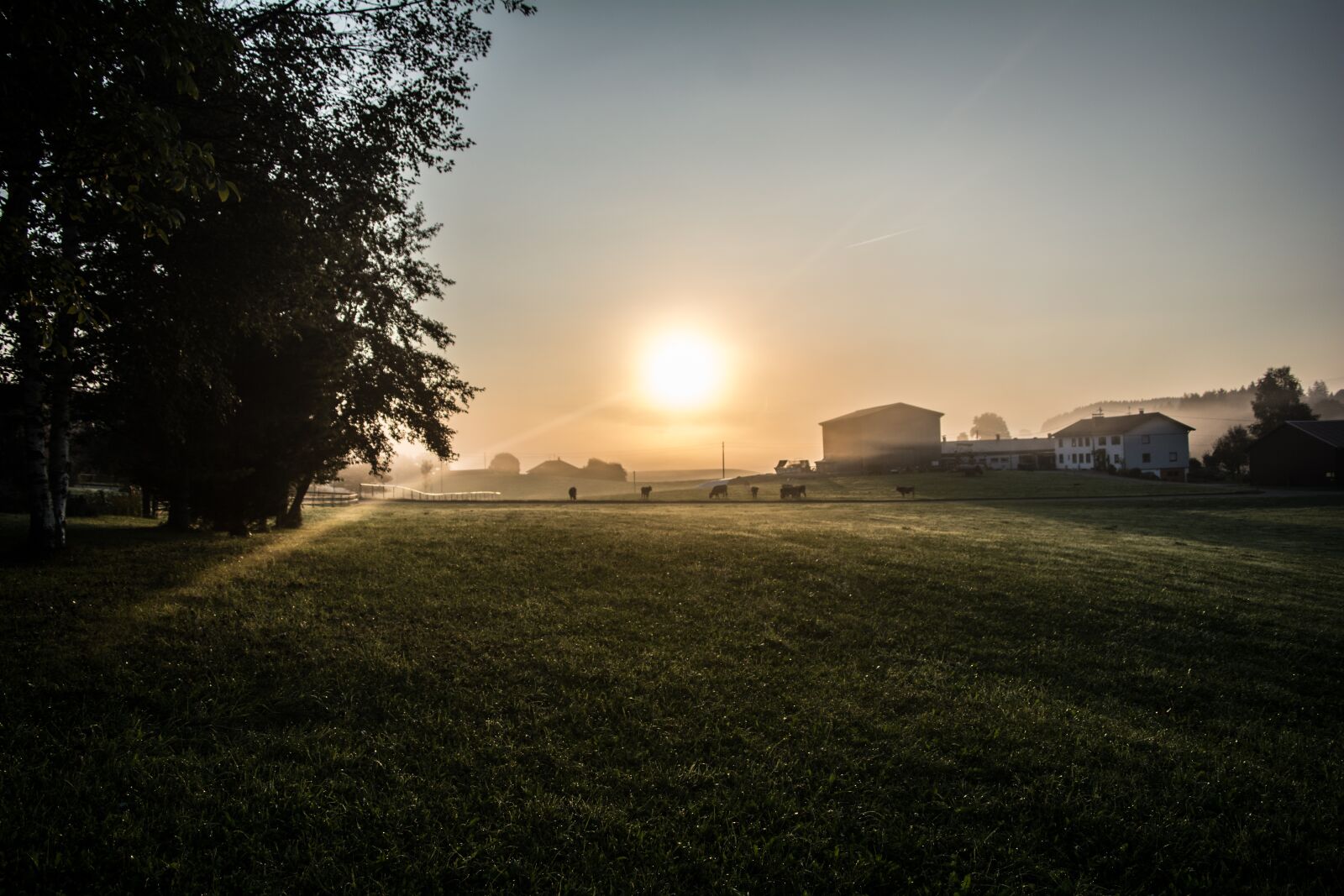 Nikon D5200 sample photo. Field, rural, farmer photography