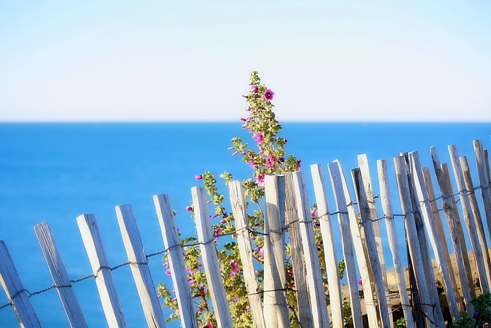 Canon EOS 5D Mark III sample photo. Sea, landscape, nature photography