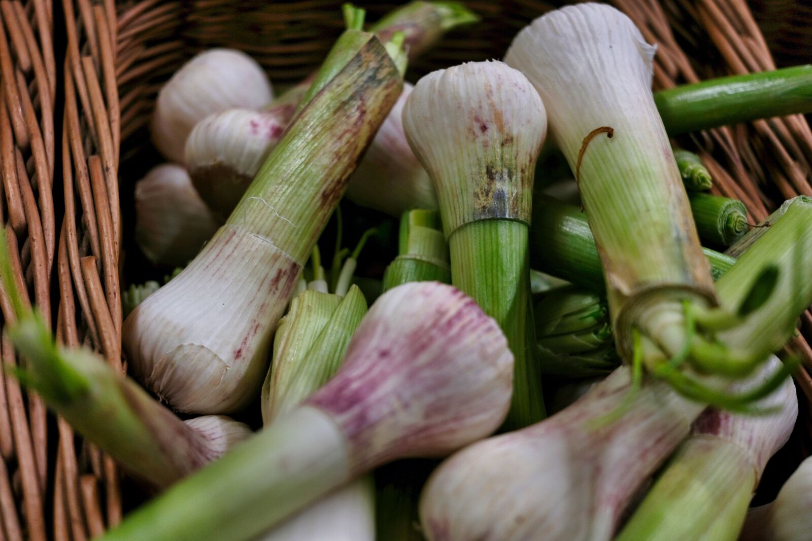 Fujifilm XF 27mm F2.8 sample photo. Spring onions, vegetables, food photography