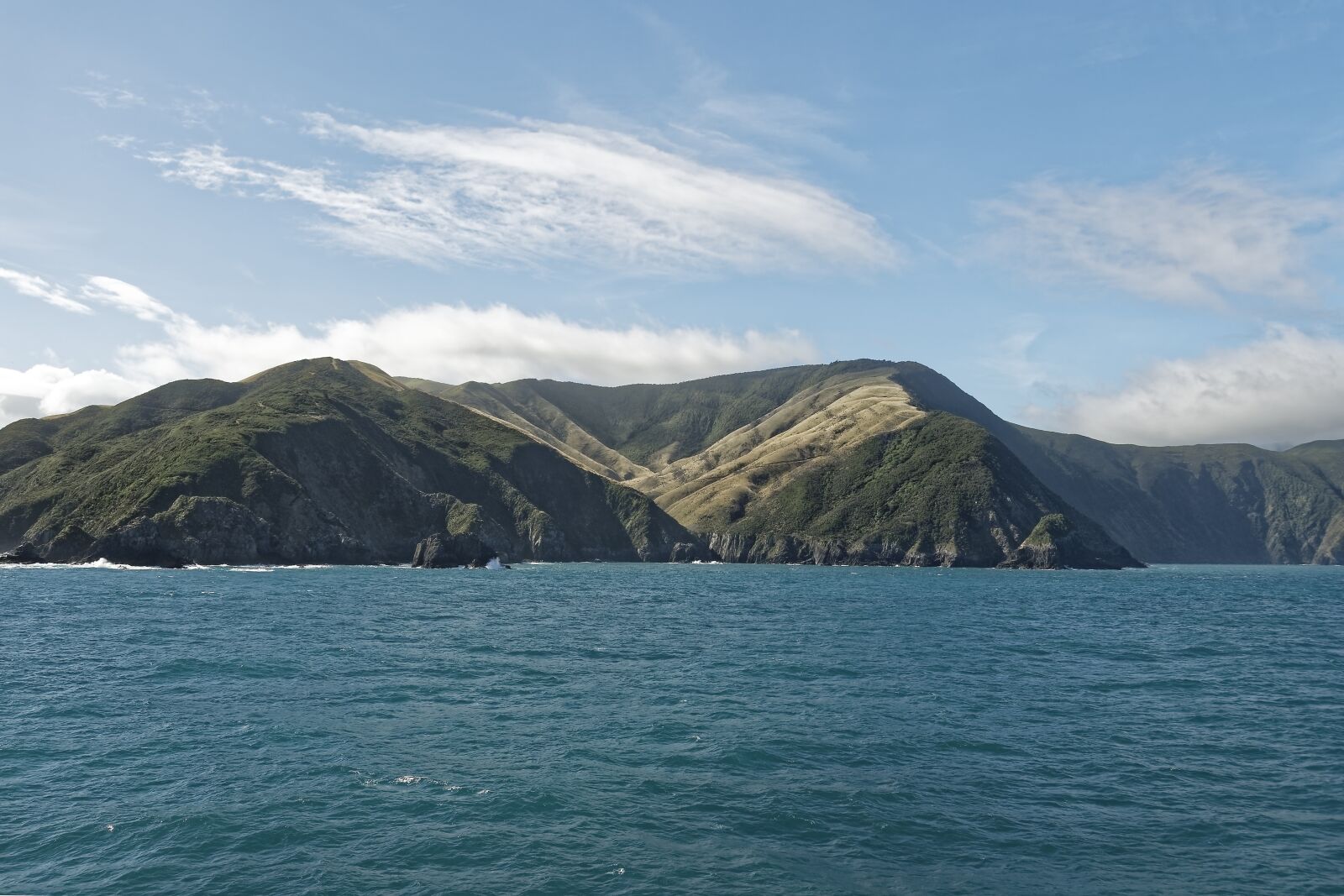 Nikon D500 sample photo. New zealand, cook street photography