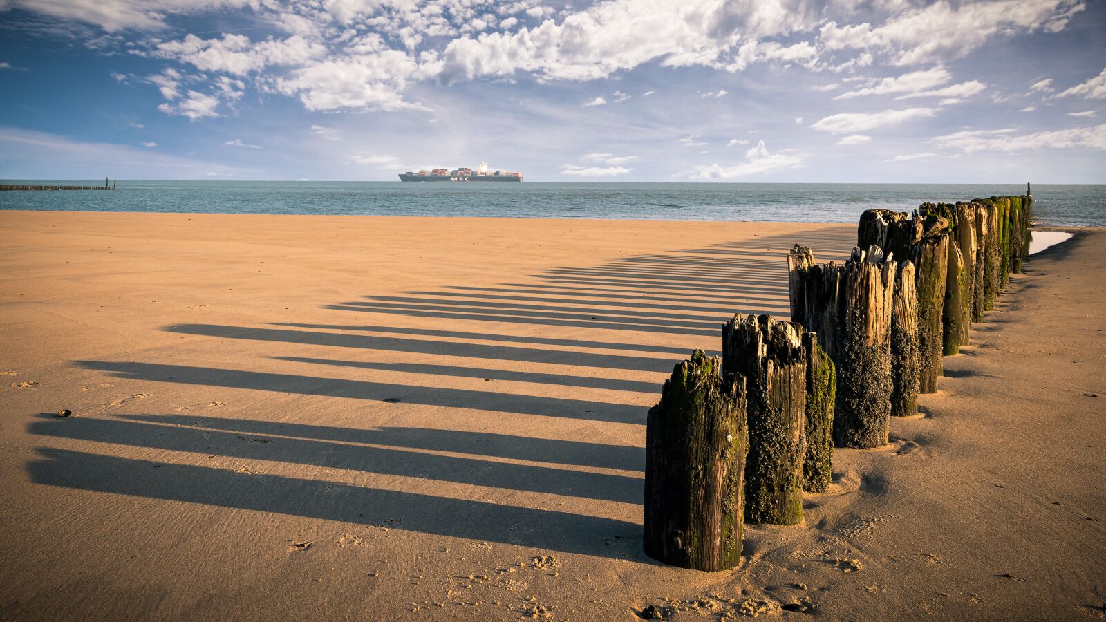 Nikon D5300 sample photo. Breskens, beach, sand photography