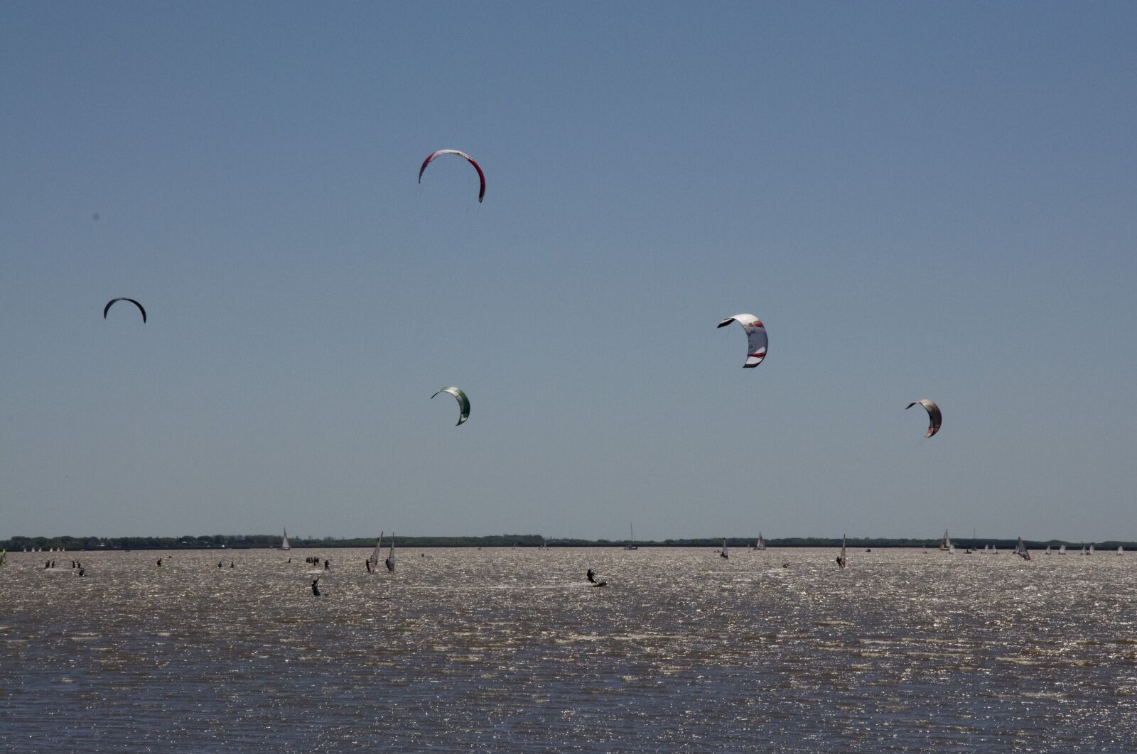 Nikon D90 sample photo. Sailing, river, sport photography