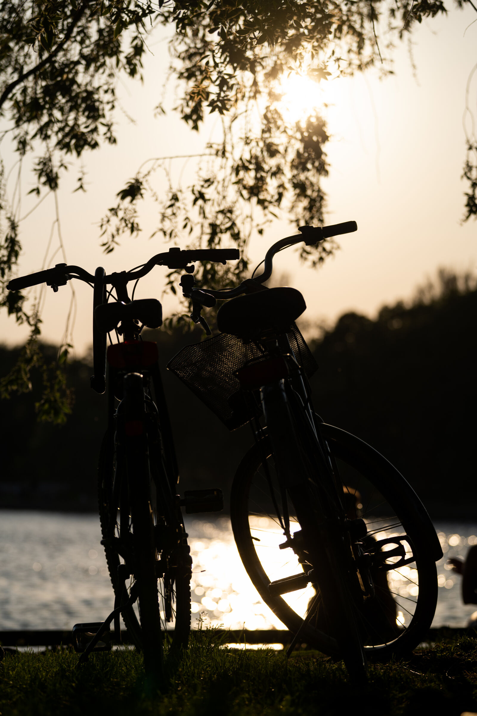 Panasonic Lumix S Pro 70-200mm F4 OIS sample photo. Bicycles during sunset photography
