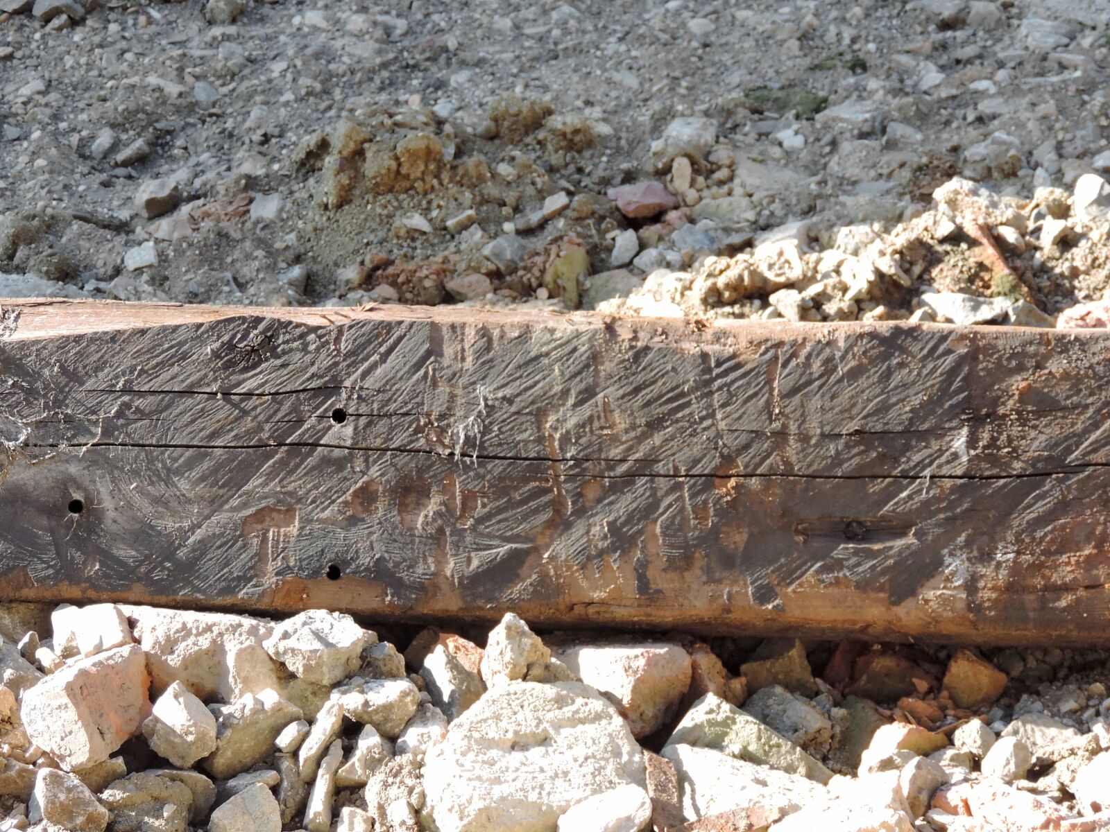 Nikon Coolpix P520 sample photo. Firewood, ground, rocks, soil photography