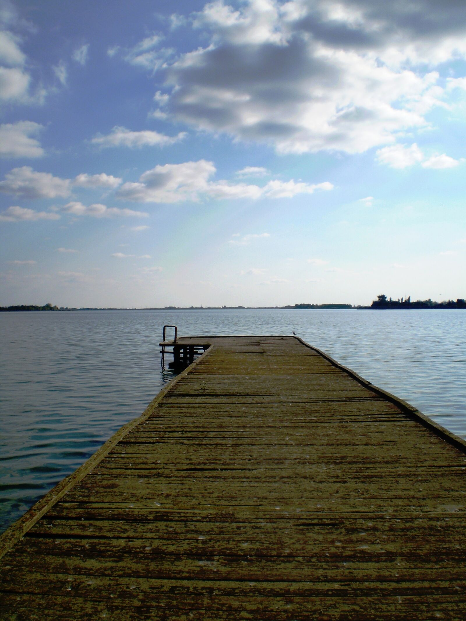 Olympus FE220,X785 sample photo. Palic lake, subotica, wooden photography