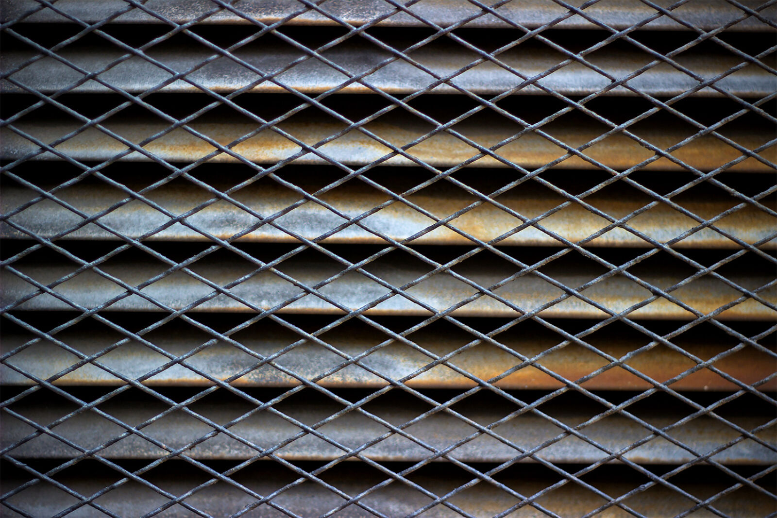 Canon EOS 600D (Rebel EOS T3i / EOS Kiss X5) + Canon EF 50mm F1.8 II sample photo. Grey, fence photography