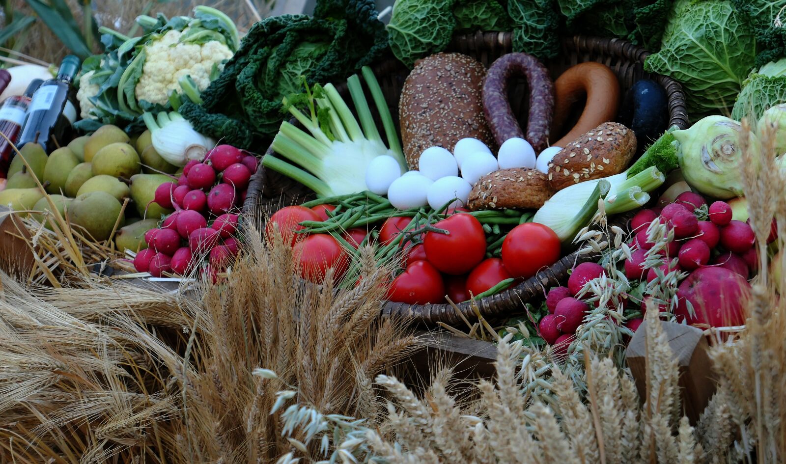 Panasonic Lumix DMC-LX10 (Lumix DMC-LX15) sample photo. Harvest, thanksgiving, autumn photography